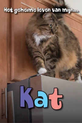 Kat