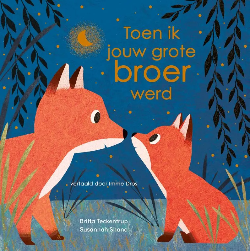 Toen ik jouw grote broer werd | 9789025885922 Toen ik jouw grote broer werd
