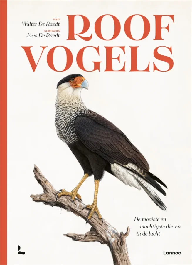 Rapunsel kinderboeken |