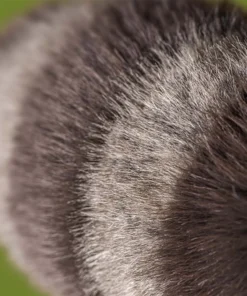 Alternative view of Jellycat Trixiwoo Raccoon