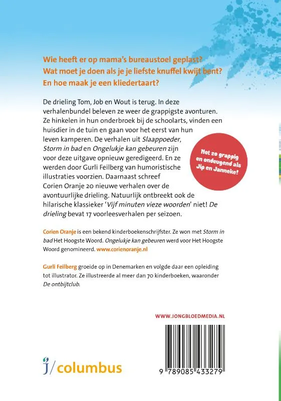 De drieling | 9789085433279 De drieling - Afbeelding 2