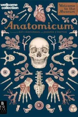 Anatomicum
