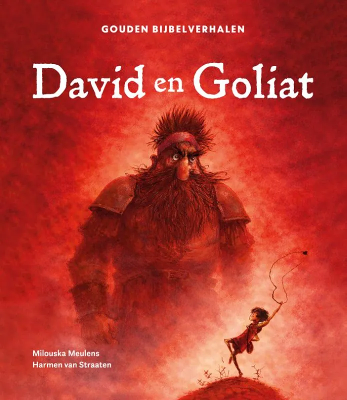 David en Goliat | 9789047674108 David en Goliat