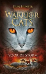 Voor de storm | 9789047708643