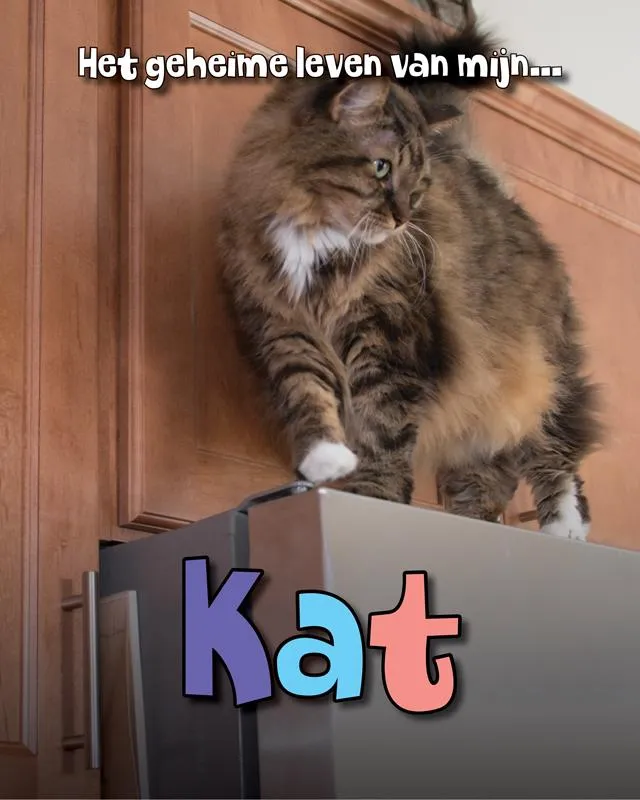 Kat | 9789463413275 Kat