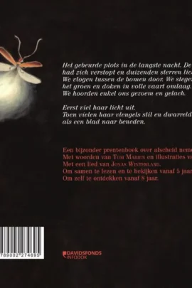 Alternative view of Het eerste licht