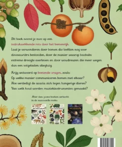 Alternative view of Bomen