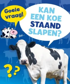 Kan een koe staand slapen?