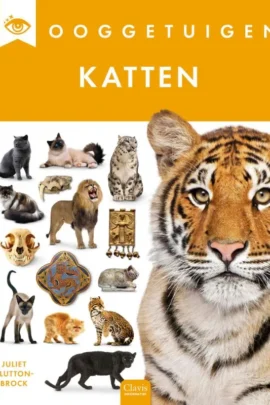 Katten