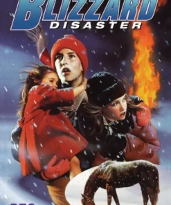 The Blizzard Disaster