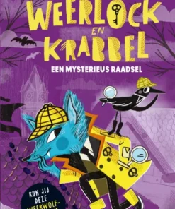 Een mysterieus raadsel
