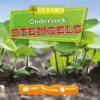 Stengels | 9789463416221 Stengels | 9789463416221