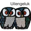 Uilengeluk | 9789492531162