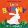 Little Bunny | 9781529517361 Little Bunny | 9781529517361
