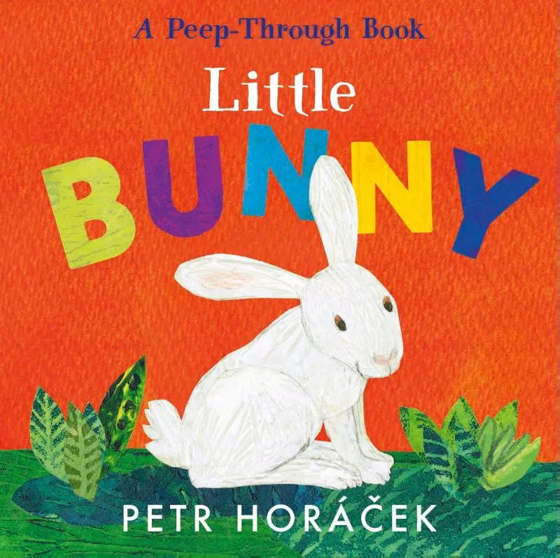 Little Bunny | 9781529517354 Little Bunny