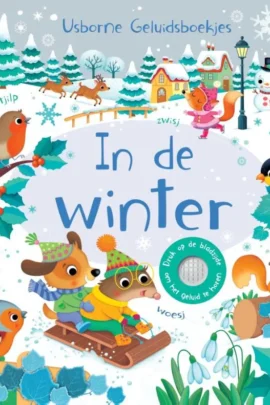 In de winter