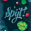 Spijt! | 9789048851096 Spijt! | 9789048851096