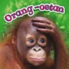 Orang-oetan | 9789463412438