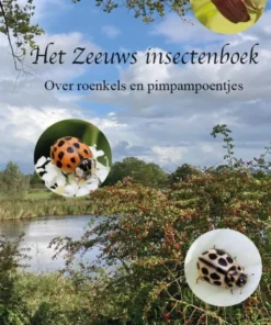 Het Zeeuws insectenboek - over roenkels en pimpampoentjes