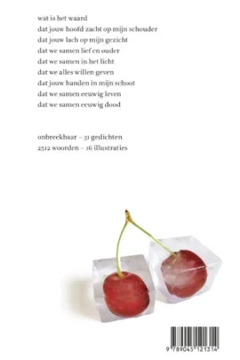 Onbreekbaar | 9789045121314