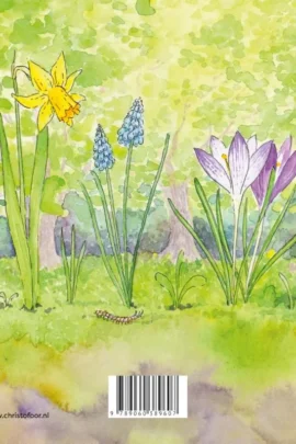 Alternative view of Lente