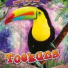 Toekans | 9789086647637 Toekans | 9789086647637