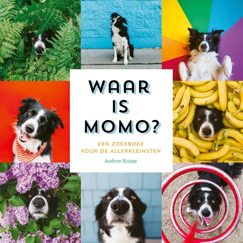 Waar is Momo? | 9789492899682 Waar is Momo?