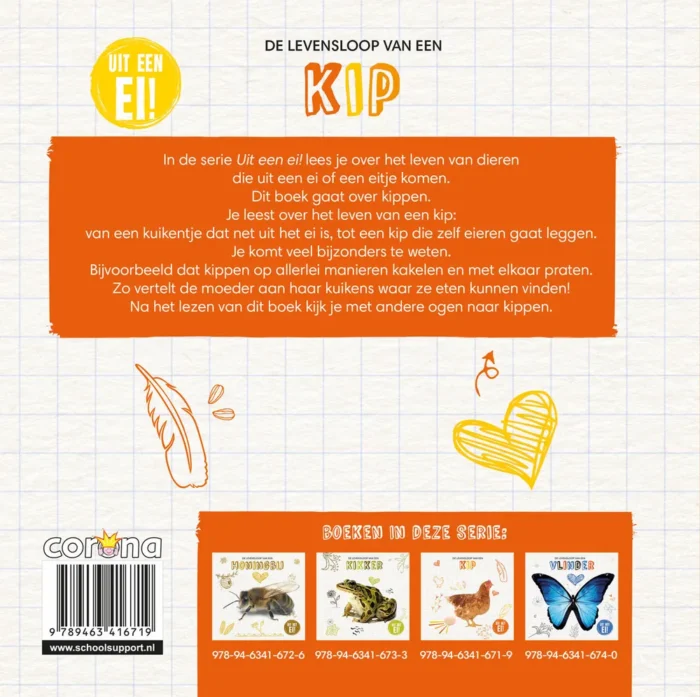 De levensloop van een kip - Afbeelding 2