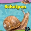 Schelpen | 9789461755292