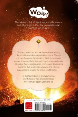 Alternative view of Volcanoes and Earthquakes