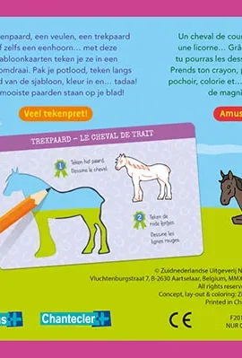 12 sjabloonkaarten / Dessine des chevaux – 12 cartes pochoirs | 9789044758306