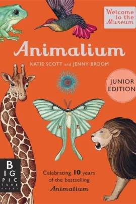 Animalium (Junior Edition)