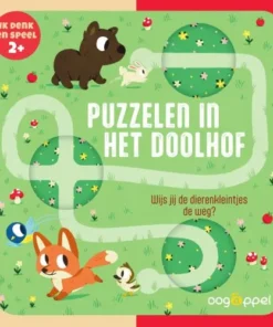 Puzzelen in het doolhof
