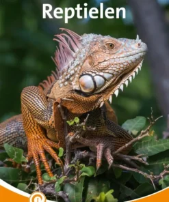 Reptielen