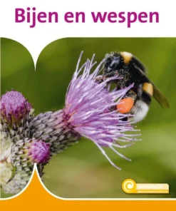 Bijen en wespen