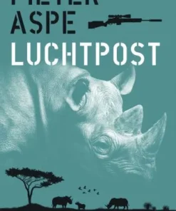 Luchtpost
