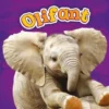 Olifant | 9789463412292 Olifant | 9789463412292