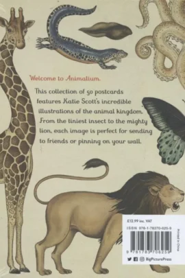 Alternative view of Animalium Postcards