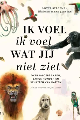 Ik voel ik voel wat jij niet ziet