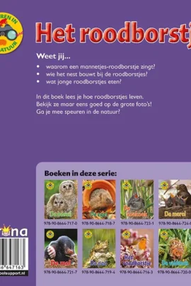 Alternative view of Het roodborstje