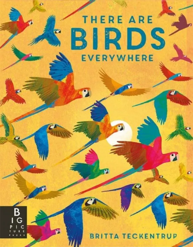 There are Birds Everywhere | 9781787417175 There are Birds Everywhere