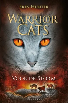 Voor de storm