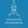 Meslânzer Woardeboek | 9781835408346
