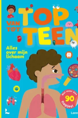 Van top tot teen: alles over mijn lichaam