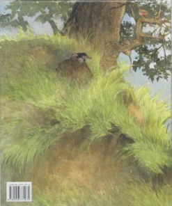 Alternative view of Een gat in mijn emmer