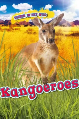 Kangoeroes