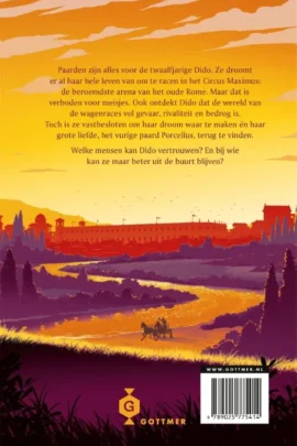 Alternative view of Circus Maximus