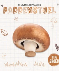 Paddenstoel