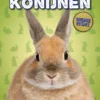 Konijnen | 9789463416849 Konijnen | 9789463416849