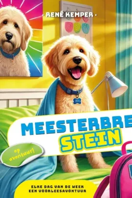 Meesterbrein Stein